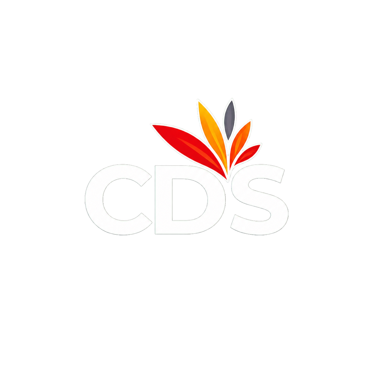 Chaitanya Digital Services logo